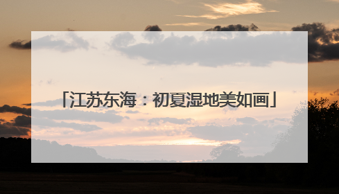 江苏东海：初夏湿地美如画