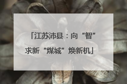 江苏沛县：向“智”求新“煤城”焕新机