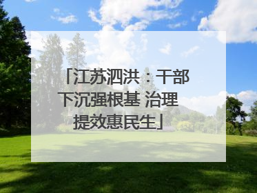 江苏泗洪：干部下沉强根基 治理提效惠民生