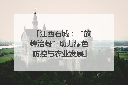 江西石城：“放蜂治蚜”助力绿色防控与农业发展