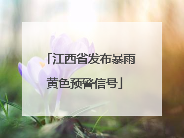 江西省发布暴雨黄色预警信号