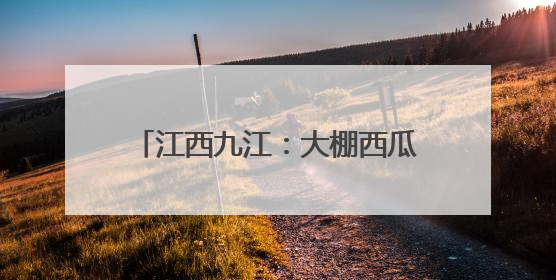 江西九江：大棚西瓜抢“鲜”上市 开启夏日“甜蜜模式”