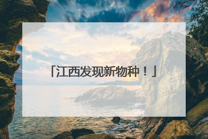 江西发现新物种！