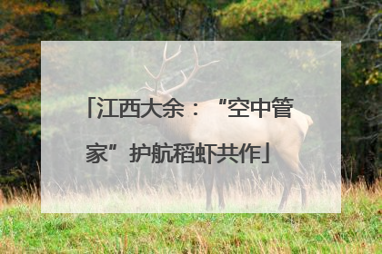 江西大余：“空中管家”护航稻虾共作