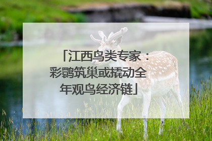 江西鸟类专家：彩鹮筑巢或撬动全年观鸟经济链