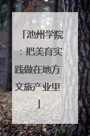 池州学院：把美育实践做在地方文旅产业里