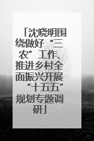 沈晓明围绕做好“三农”工作、推进乡村全面振兴开展“十五五”规划专题调研