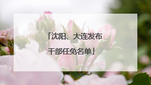 沈阳、大连发布干部任免名单