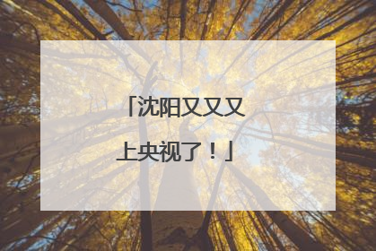 沈阳又又又上央视了！
