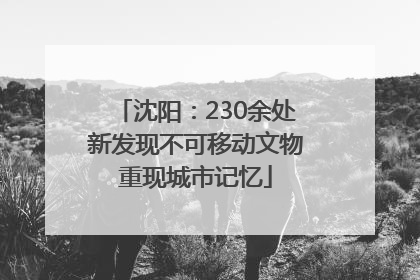 沈阳：230余处新发现不可移动文物重现城市记忆