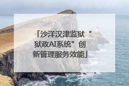 沙洋汉津监狱“狱政AI系统”创新管理服务效能