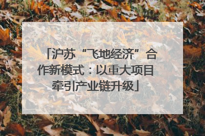 沪苏“飞地经济”合作新模式：以重大项目牵引产业链升级