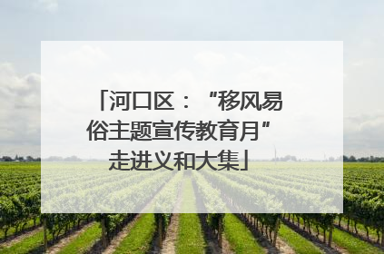 河口区：“移风易俗主题宣传教育月”走进义和大集