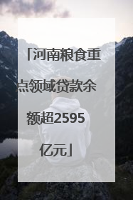 河南粮食重点领域贷款余额超2595亿元