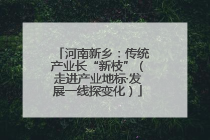 河南新乡：传统产业长“新枝”（走进产业地标·发展一线探变化）
