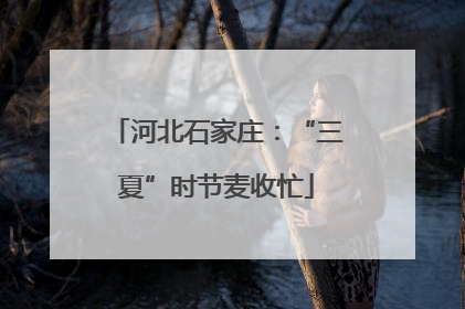 河北石家庄：“三夏”时节麦收忙