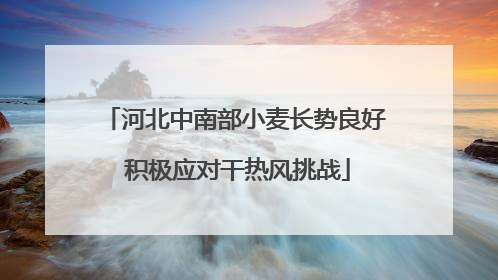 河北中南部小麦长势良好 积极应对干热风挑战