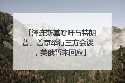 泽连斯基呼吁与特朗普、普京举行三方会谈，美俄暂未回应