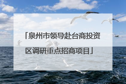 泉州市领导赴台商投资区调研重点招商项目