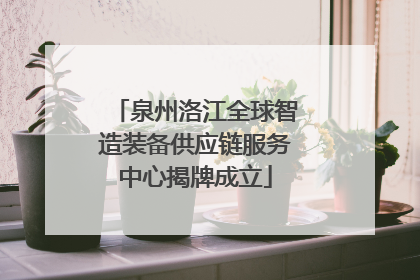 泉州洛江全球智造装备供应链服务中心揭牌成立
