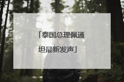 泰国总理佩通坦最新发声