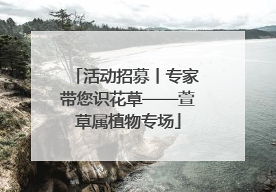 活动招募丨专家带您识花草——萱草属植物专场