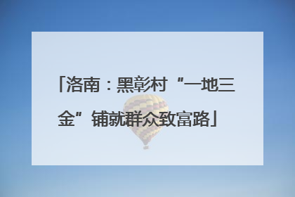 洛南：黑彰村“一地三金”铺就群众致富路