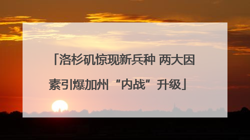 洛杉矶惊现新兵种 两大因素引爆加州“内战”升级