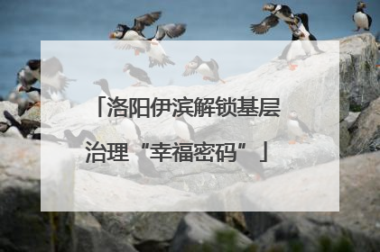 洛阳伊滨解锁基层治理“幸福密码”