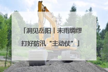 洞见岳阳丨未雨绸缪 打好防汛“主动仗”