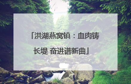 洪湖燕窝镇：血肉铸长堤 奋进谱新曲