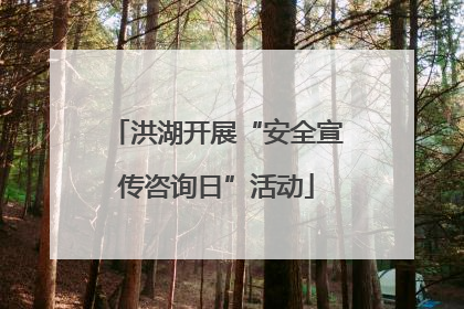 洪湖开展“安全宣传咨询日”活动