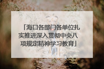 海口各部门各单位扎实推进深入贯彻中央八项规定精神学习教育
