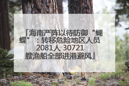 海南严阵以待防御“蝴蝶”：转移危险地区人员2081人 30721艘渔船全部进港避风