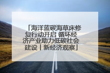 海洋蓝碳海草床修复行动开启 循环经济产业助力低碳社会建设丨新经济观察