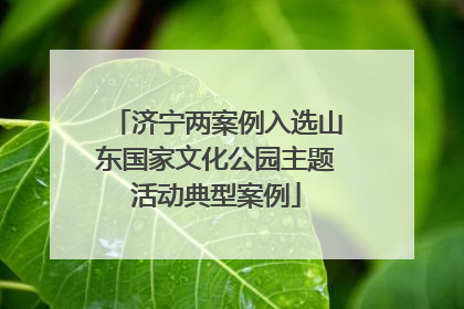 济宁两案例入选山东国家文化公园主题活动典型案例