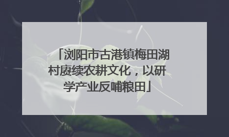 浏阳市古港镇梅田湖村赓续农耕文化，以研学产业反哺粮田