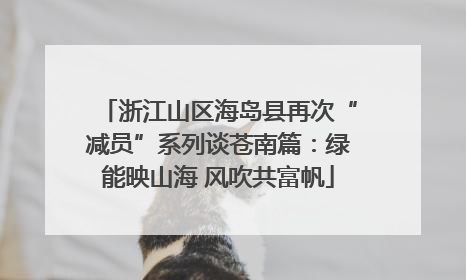 浙江山区海岛县再次“减员”系列谈苍南篇：绿能映山海 风吹共富帆