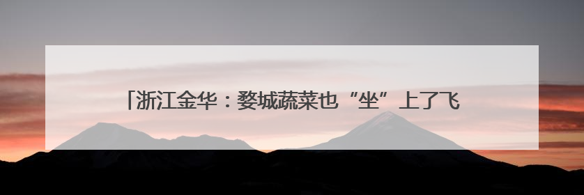 浙江金华：婺城蔬菜也“坐”上了飞机，无人机为乡村振兴插上“翅膀”