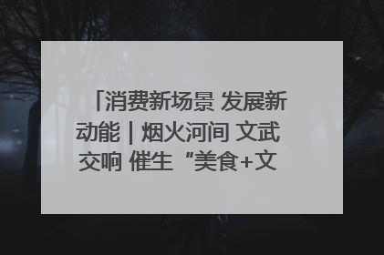消费新场景 发展新动能｜烟火河间 文武交响 催生“美食+文化”消费新场景