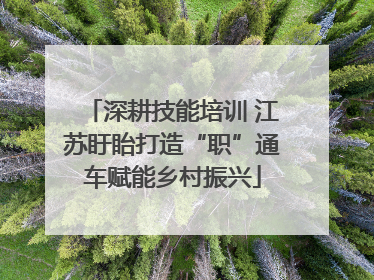 深耕技能培训 江苏盱眙打造“职”通车赋能乡村振兴