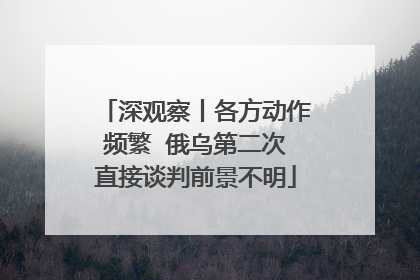 深观察丨各方动作频繁  俄乌第二次直接谈判前景不明