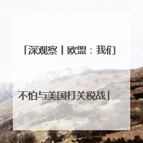 深观察丨欧盟：我们不怕与美国打关税战