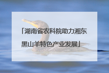 湖南省农科院助力湘东黑山羊特色产业发展