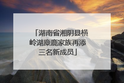 湖南省湘阴县横岭湖麋鹿家族再添三名新成员
