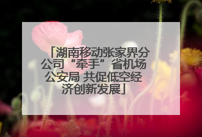 湖南移动张家界分公司“牵手”省机场公安局 共促低空经济创新发展