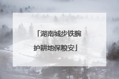 湖南城步铁腕护耕地保粮安