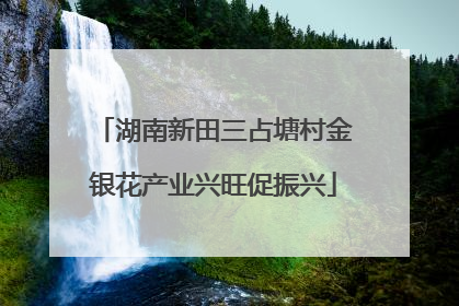 湖南新田三占塘村金银花产业兴旺促振兴