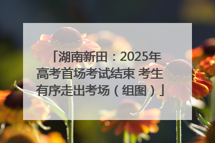 湖南新田：2025年高考首场考试结束 考生有序走出考场（组图）