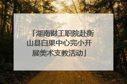 湖南财工职院赴衡山县白果中心完小开展美术支教活动